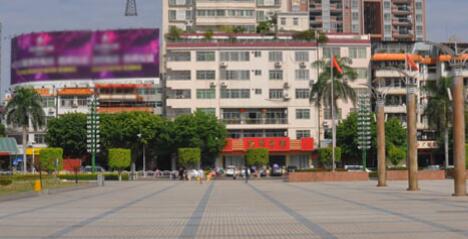 广东鸿源集团有限公司